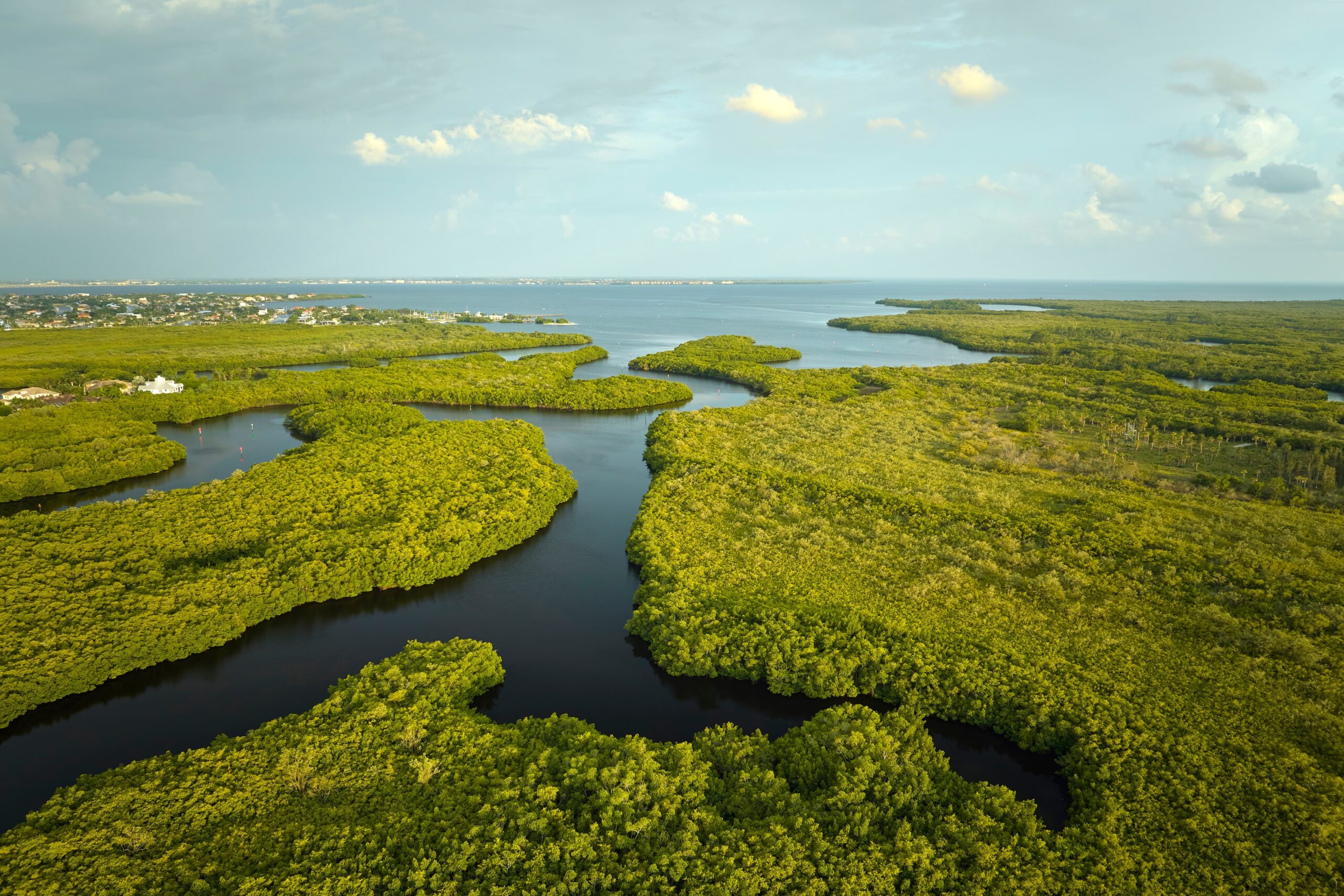 Everglades Nationalpark