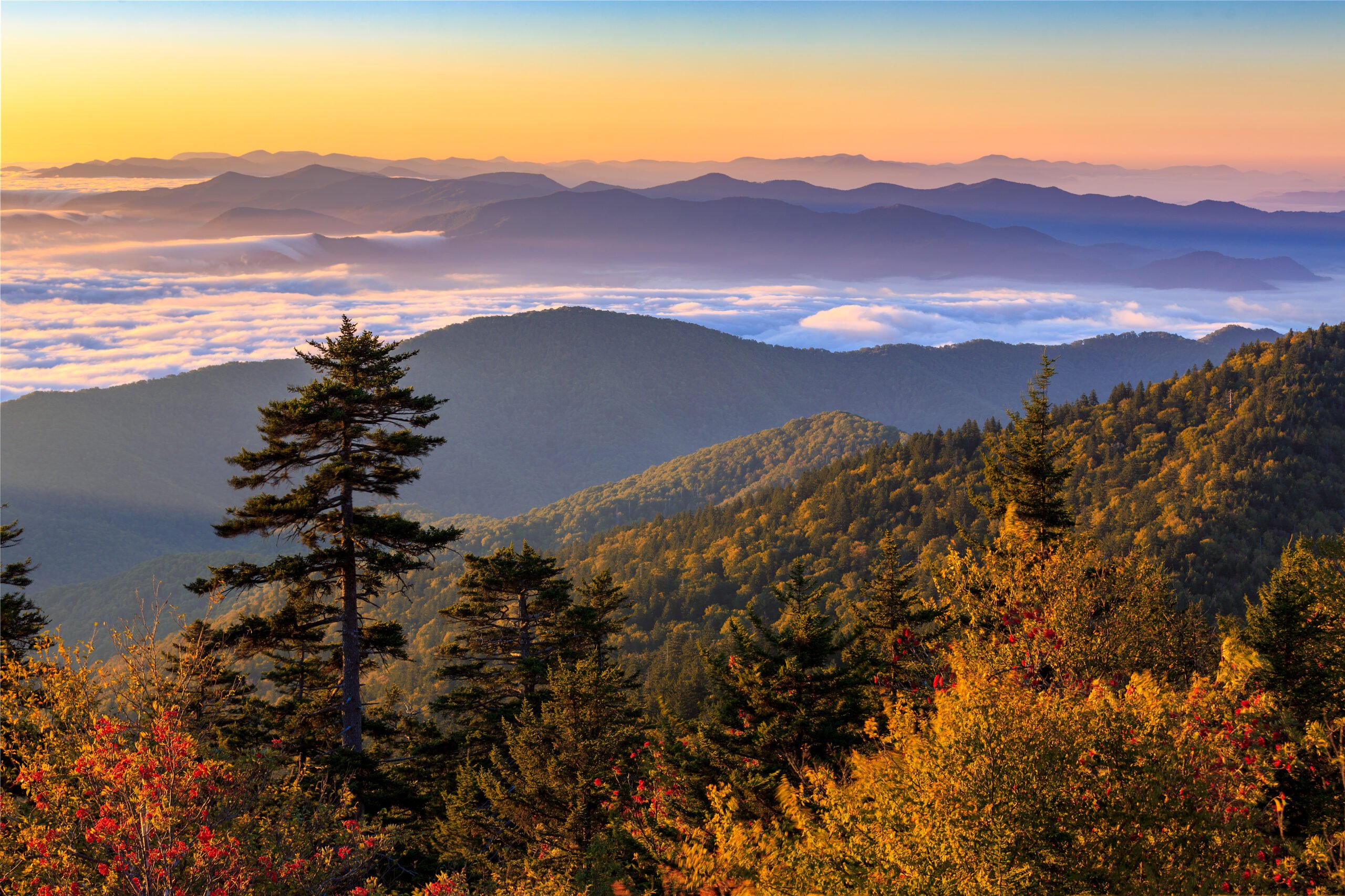 Sonnenaufgang über den Great Smoky Mountains beim Clingman's Dome
