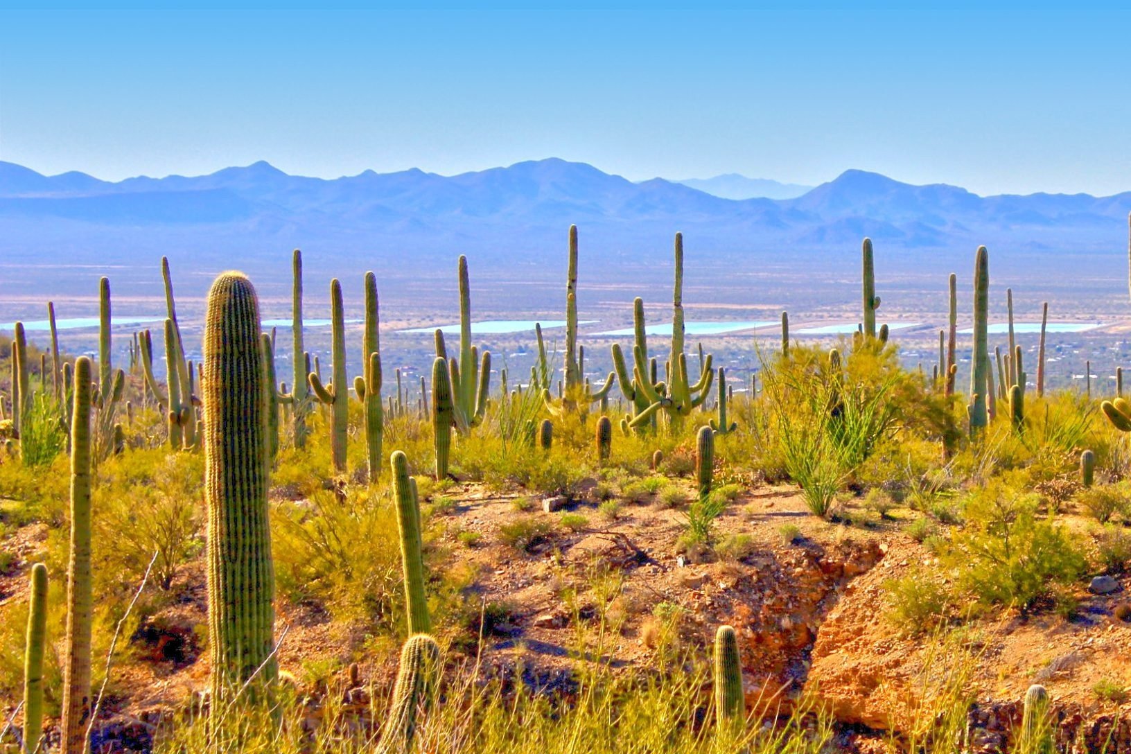 Tucson, Arizona, USA