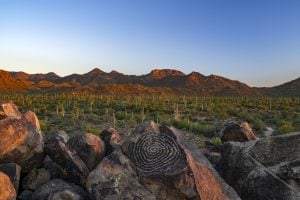 Petroglyphen, Saguaro National Park, Tucson, Arizona, USA