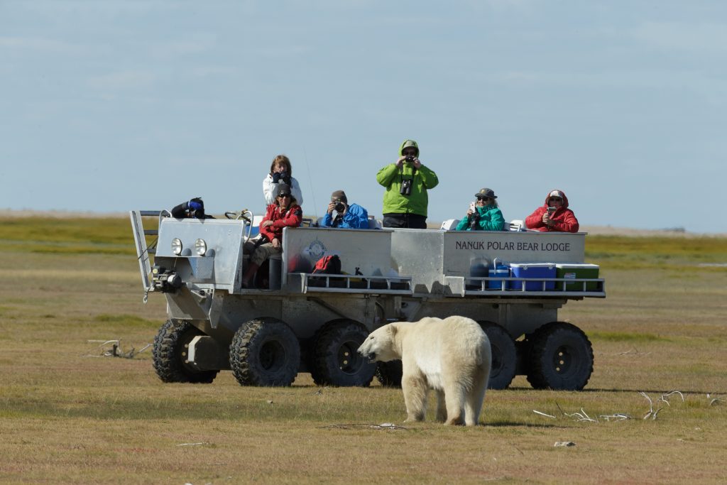 Eisbärenbeobachtung im ATV ©Chas Glatzer & Churchill Wild
