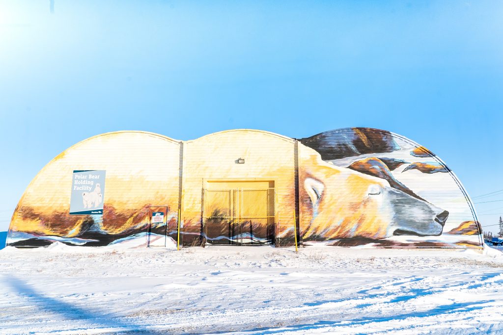 Polar Bear Holding Facility in Churchill ©Travel Manitoba