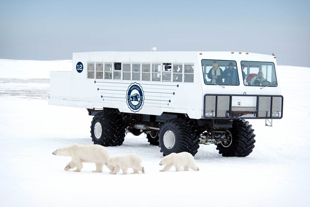 Tundra Buggy Ausflug mit Frontiers North Adventures ©Travel Manitoba