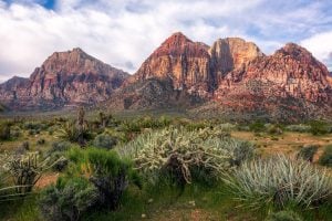 Red Rock, Las Vegas, USA