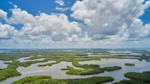 10,000_Islands, Paradise Coast, Florida, USA