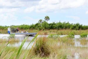 Airboat tour, everglades, Florida, USA
