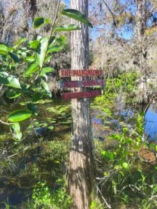 Everglades, Florida, USA