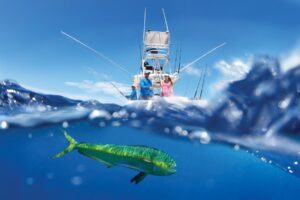Islamorada, die Sport Fishing Capital of the World
