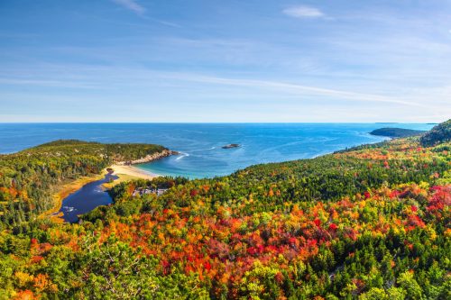 Herbstfarben im Acadia Nationalpark