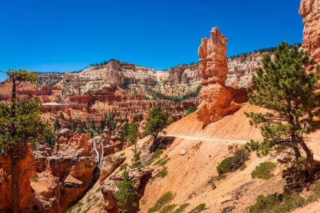 Bryce Canyon Nationalpark, Utah