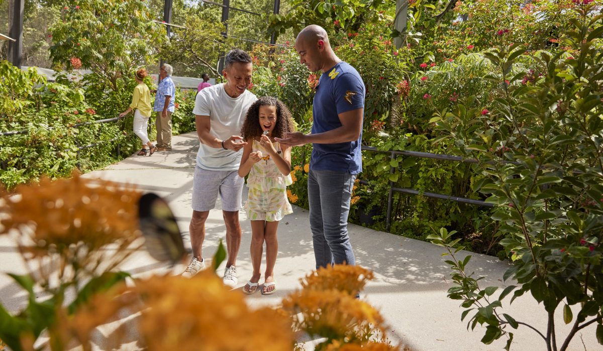 Butterfly World, Fort Lauderdale, Florida