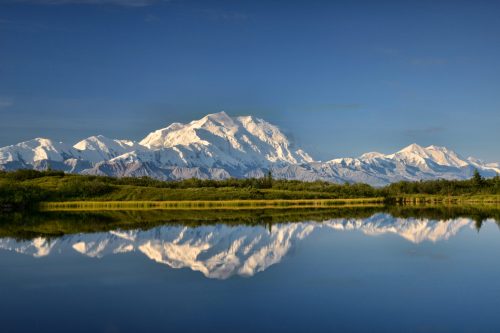 Mt. Denali