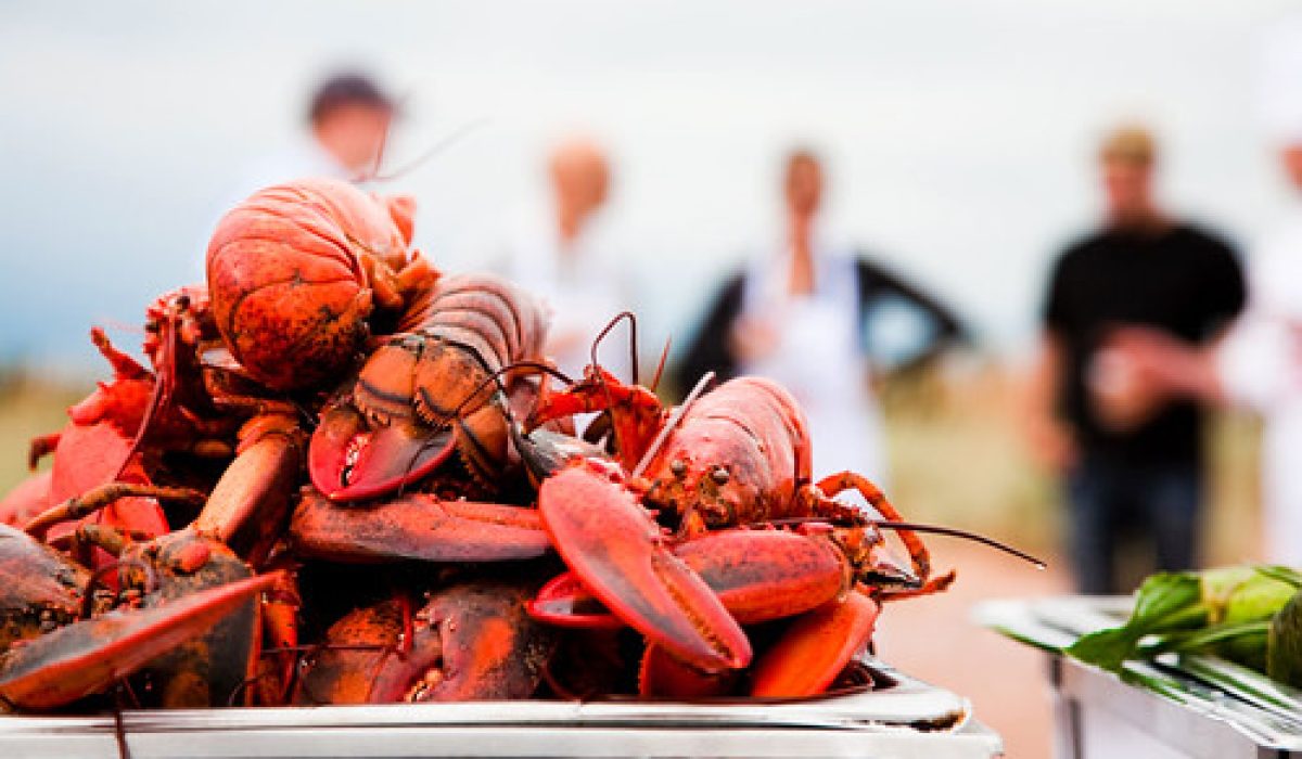 Lobster © Tourism PEI Stephen Harris