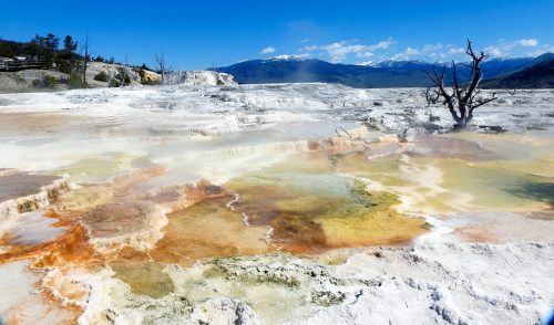 Mammoth Hot Springs im Norden des Yellowstone Nationalparks