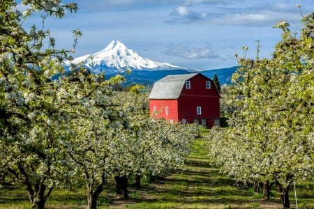 Mount Hood, Oregon