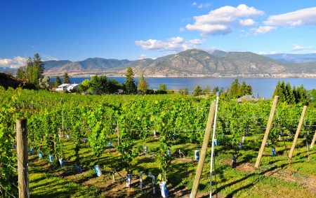 Okanagan Valley, British,Columbia