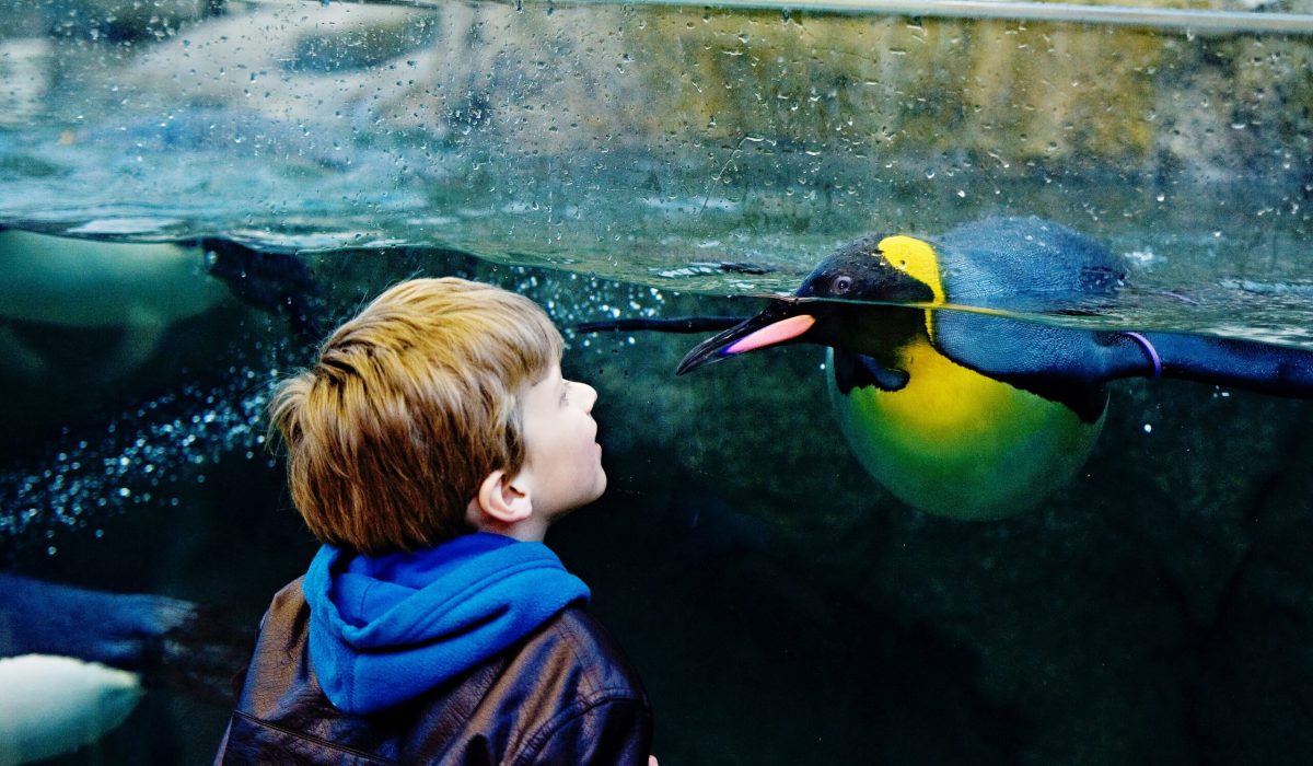 Calgary Zoo, Calgary