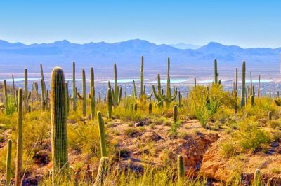 Tucson, Arizona, USA